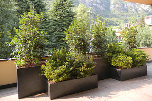 Hobby Garden